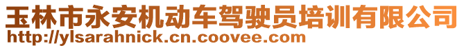 玉林市永安機(jī)動(dòng)車駕駛員培訓(xùn)有限公司