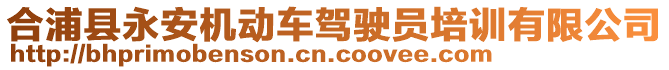 合浦縣永安機動車駕駛員培訓有限公司