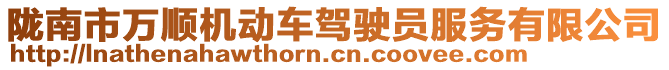 隴南市萬順機動車駕駛員服務有限公司