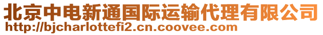 北京中電新通國際運輸代理有限公司