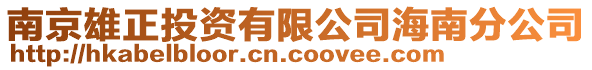 南京雄正投資有限公司海南分公司