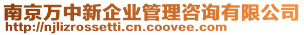 南京萬(wàn)中新企業(yè)管理咨詢(xún)有限公司