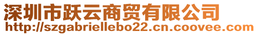 深圳市躍云商貿有限公司