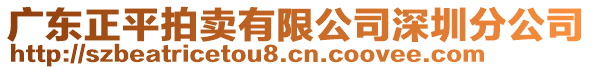 廣東正平拍賣有限公司深圳分公司