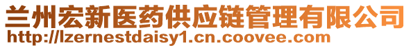 蘭州宏新醫(yī)藥供應鏈管理有限公司