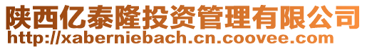 陜西億泰隆投資管理有限公司