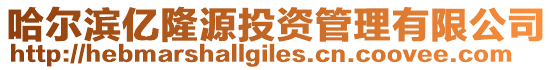 哈爾濱億隆源投資管理有限公司