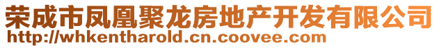 榮成市鳳凰聚龍房地產開發有限公司