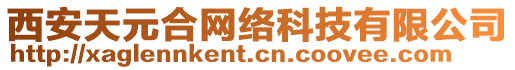 西安天元合網(wǎng)絡(luò)科技有限公司