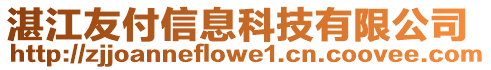 湛江友付信息科技有限公司