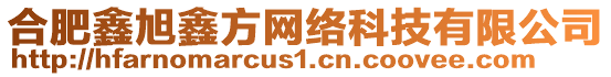 合肥鑫旭鑫方網(wǎng)絡(luò)科技有限公司