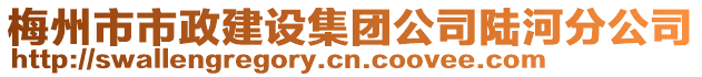 梅州市市政建設集團公司陸河分公司