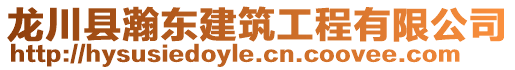 龍川縣瀚東建筑工程有限公司