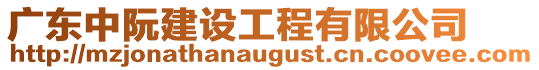廣東中阮建設工程有限公司