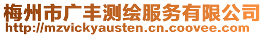 梅州市廣豐測繪服務有限公司