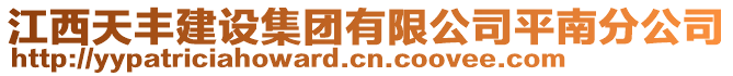 江西天豐建設集團有限公司平南分公司