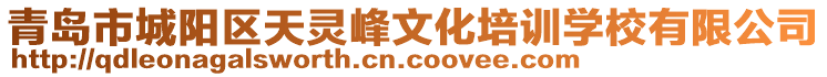 青島市城陽區(qū)天靈峰文化培訓(xùn)學(xué)校有限公司