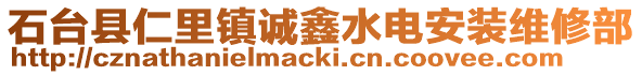 石臺(tái)縣仁里鎮(zhèn)誠(chéng)鑫水電安裝維修部