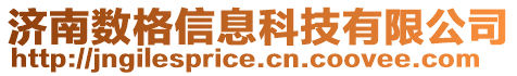 濟(jì)南數(shù)格信息科技有限公司