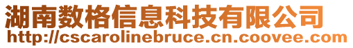 湖南數(shù)格信息科技有限公司