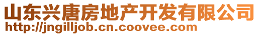 山東興唐房地產(chǎn)開發(fā)有限公司