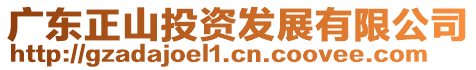 廣東正山投資發(fā)展有限公司