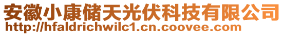 安徽小康儲(chǔ)天光伏科技有限公司