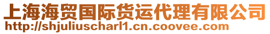 上海海貿(mào)國際貨運(yùn)代理有限公司