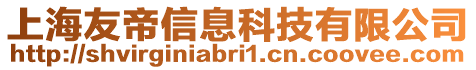 上海友帝信息科技有限公司