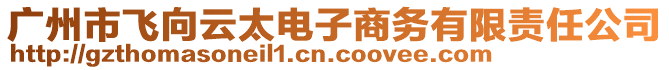 廣州市飛向云太電子商務(wù)有限責(zé)任公司