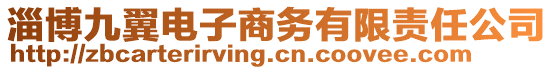 淄博九翼電子商務(wù)有限責(zé)任公司