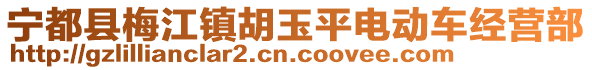 寧都縣梅江鎮(zhèn)胡玉平電動車經(jīng)營部