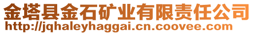 金塔縣金石礦業(yè)有限責(zé)任公司