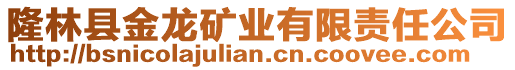 隆林縣金龍礦業(yè)有限責(zé)任公司