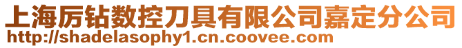 上海厲鉆數(shù)控刀具有限公司嘉定分公司