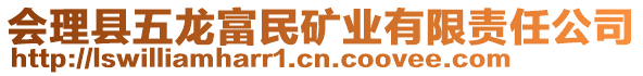 會(huì)理縣五龍富民礦業(yè)有限責(zé)任公司