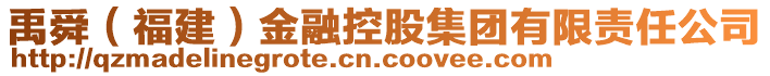 禹舜（福建）金融控股集團(tuán)有限責(zé)任公司