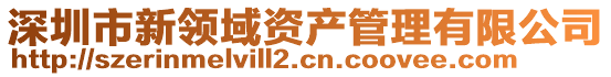 深圳市新領(lǐng)域資產(chǎn)管理有限公司