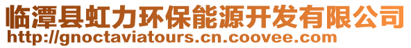 臨潭縣虹力環保能源開發有限公司