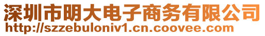 深圳市明大電子商務(wù)有限公司