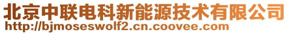 北京中聯(lián)電科新能源技術(shù)有限公司