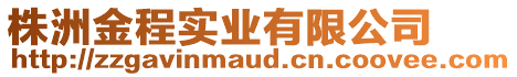 株洲金程實(shí)業(yè)有限公司
