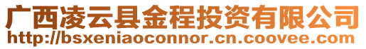 廣西凌云縣金程投資有限公司
