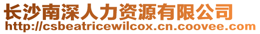 長沙南深人力資源有限公司