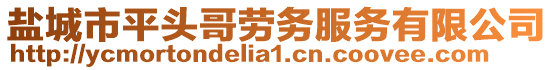 鹽城市平頭哥勞務(wù)服務(wù)有限公司