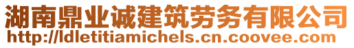 湖南鼎業(yè)誠建筑勞務有限公司