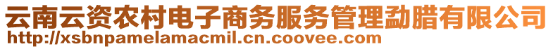 云南云資農村電子商務服務管理勐臘有限公司