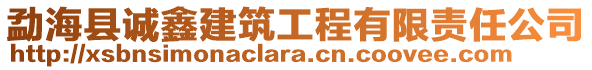 勐?？h誠鑫建筑工程有限責(zé)任公司