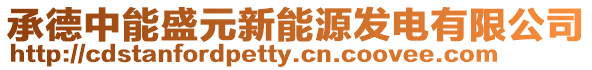 承德中能盛元新能源發電有限公司