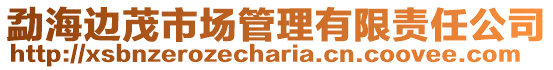 勐海邊茂市場管理有限責任公司